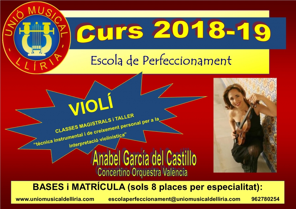 Encontre Violí 2018